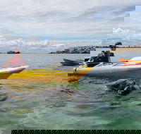 Seal Island and Penguin Island or Point Peron Sea Kayak Tour - Accommodation Bookings