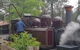 Dandenong Ranges And Rayners Orchard Tour From Melbourne - thumb 1