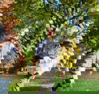 Aboriginal Heritage Walk - Royal Botanic Gardens Victoria Melbourne Gardens - Accommodation Bookings