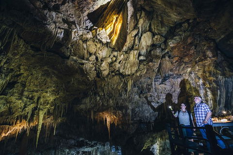 Ngilgi Cave Semi-guided Tour - Accommodation Bookings 0