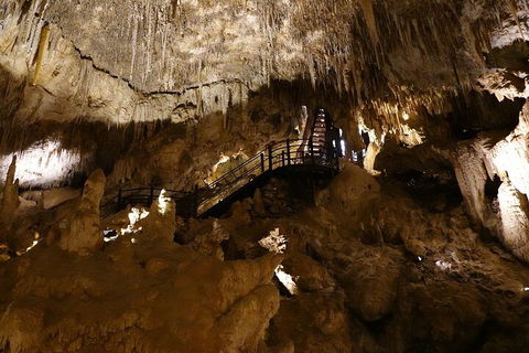 Ngilgi Cave Semi-guided Tour - Accommodation Bookings 2