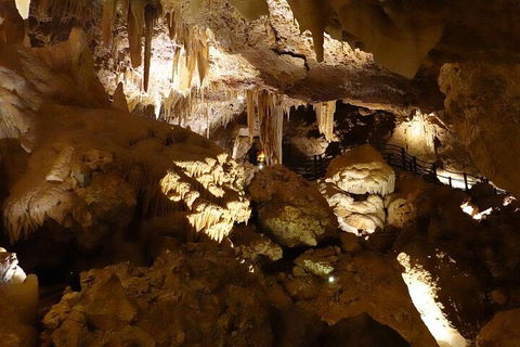 Ngilgi Cave Semi-guided Tour - Accommodation Bookings 3