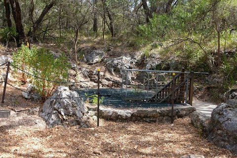 Ngilgi Cave Semi-guided Tour - Accommodation Bookings 4