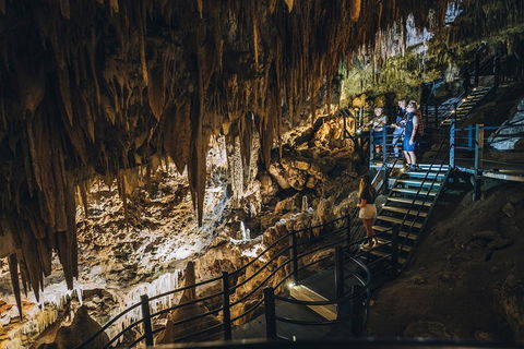 Ngilgi Cave Semi-guided Tour - Accommodation Bookings 5