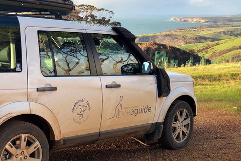 Kangaroo Island 4WD Tour - Best Of KI In 2 Days - Accommodation Bookings 4