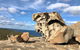 Kangaroo Island 4WD Tour - Best Of KI In 2 Days - thumb 5