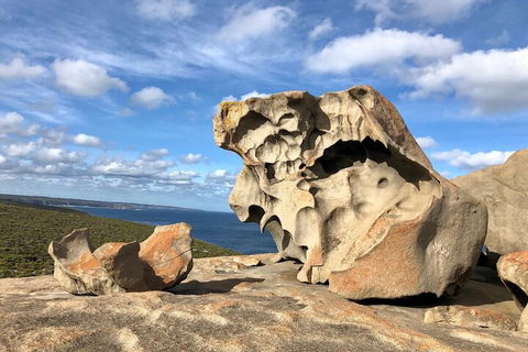 Kangaroo Island 4WD Tour - Best Of KI In 2 Days - Accommodation Bookings 5