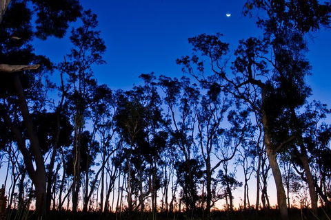 Small-Group Kangaroo Island 4WD Night Tour - Accommodation Bookings 2