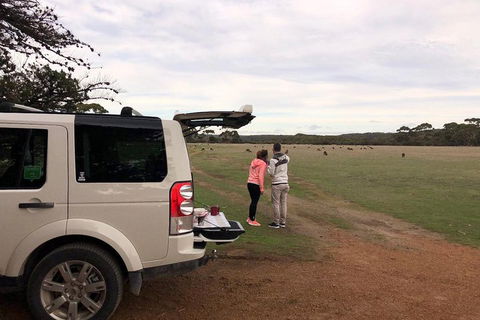 Kangaroo Island 4WD Tour - Flinders Chase - Accommodation Bookings 3
