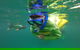 Manly Snorkel Trip And Nature Walk With Local Guide - thumb 5