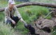 After Dark Tasmanian Devil Feeding Tour At Cradle Mountain - thumb 1