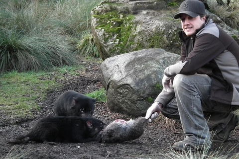 After Dark Tasmanian Devil Feeding Tour At Cradle Mountain - Accommodation Bookings 2