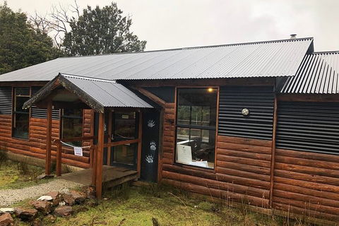 After Dark Tasmanian Devil Feeding Tour At Cradle Mountain - Accommodation Bookings 3