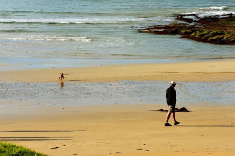 Ultimate Reverse Direction - 12 Apostles, Great Ocean Road - Small Group Tour - Accommodation Bookings 1