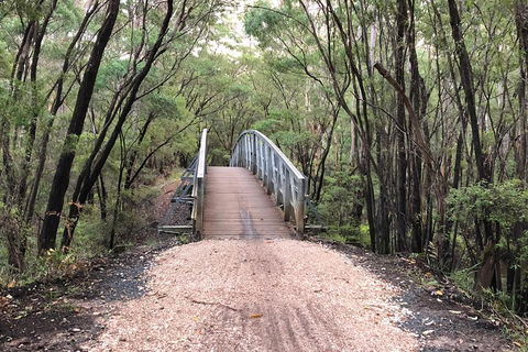 3d/2n Themed Camping Getaway - Private Campgrounds And National Parks - Accommodation Bookings 2