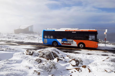 Kunanyi/Mt Wellington Tour & Hobart Hop-On Hop-Off Bus - Accommodation Bookings 2