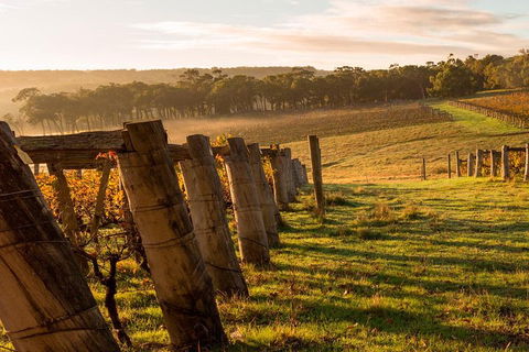 The All About Margaret River Tour: Wine, Coffee, Lunch And Forest - Accommodation Bookings 5