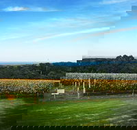 Yarra Valley Private Car Winery Tour And Chocolate.1-7 Passengers One Car Price - Accommodation Bookings