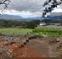 Yarra Valley Wine Tour inc lunch with a glass of wine tastings and chocolate - Accommodation Bookings