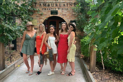 A Full Day Hunter Valley Wine Tasting Tour With Lunch And Tasting Fee's Included - Accommodation Bookings 4
