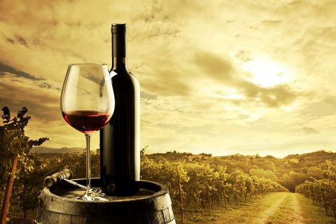 Barossa Valley Cellar Doors Luxury Wine Tour - Accommodation Bookings 0