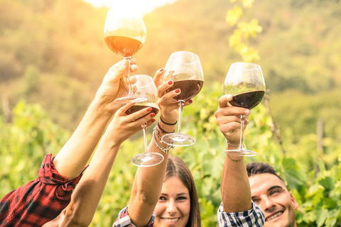 Barossa Valley Cellar Doors Luxury Wine Tour - Accommodation Bookings 1