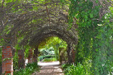 Barossa Valley Cellar Doors Luxury Wine Tour - Accommodation Bookings 3