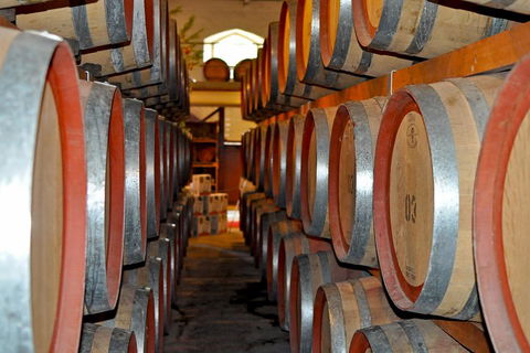 Barossa Valley Cellar Doors Luxury Wine Tour - Accommodation Bookings 5