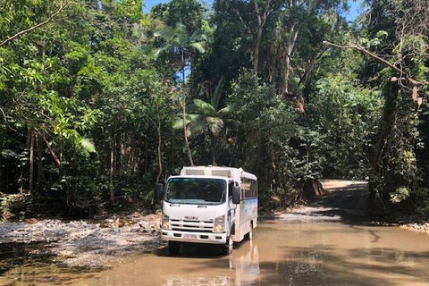 Cairns To Cooktown 4WD Tour - Accommodation Bookings 5