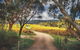 McLaren Vale Winery Small Group Tour With Wine Tasting And Lunch - thumb 1