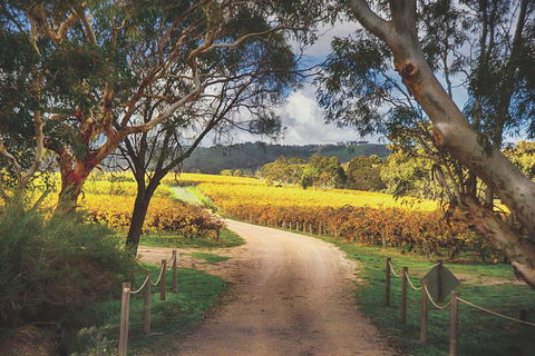 McLaren Vale Winery Small Group Tour With Wine Tasting And Lunch - Accommodation Bookings 1