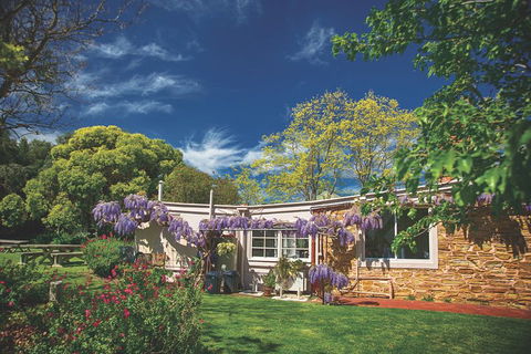 McLaren Vale Winery Small Group Tour With Wine Tasting And Lunch - Accommodation Bookings 2