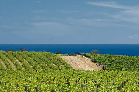 McLaren Vale Winery Small Group Tour With Wine Tasting And Lunch - Accommodation Bookings 4