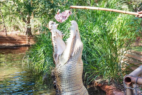 3 In 1 Tour: Matsoâ€™s Brewery, Broome Museum & Malcolm Douglas Crocodile Park - Accommodation Bookings 3