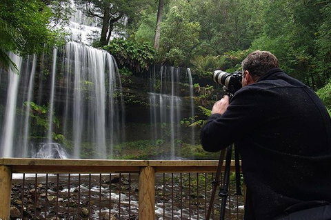 Mt Field And Styx Valley Photography Tour - Accommodation Bookings 0