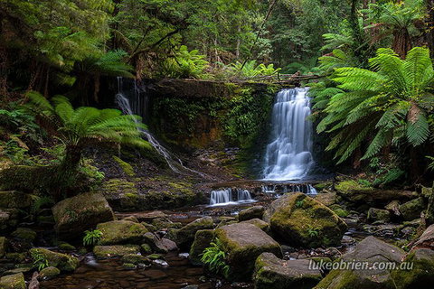 Mt Field And Styx Valley Photography Tour - Accommodation Bookings 3
