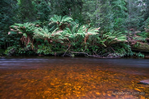 Mt Field And Styx Valley Photography Tour - Accommodation Bookings 4