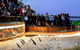 Phillip Island Medium Size Group Tour - thumb 3