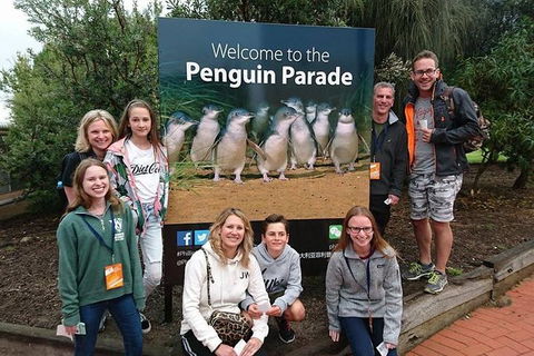 Phillip Island Medium Size Group Tour - Accommodation Bookings 5