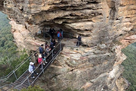 PJ Blue Mountains Supreme Day Tour - Accommodation Bookings 0
