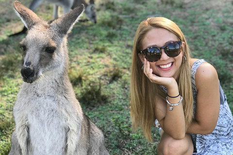 PJ Blue Mountains Supreme Day Tour - Accommodation Bookings 2