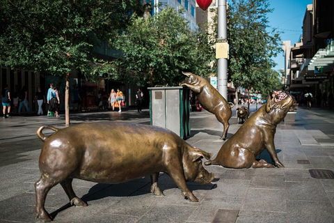 Guided Walking Tour In Adelaide - Accommodation Bookings 4