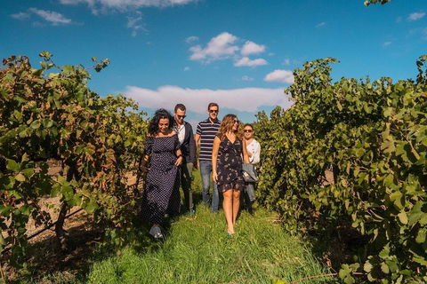 Barossa Valley Private Tour (from 2 To 11 People) - Accommodation Bookings 0