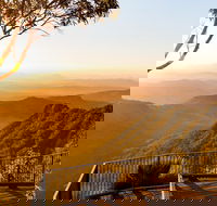 O'Reilly's  Lamington National Park incl. Alpaca Farm  Vineyard - Accommodation Bookings