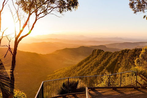 O'Reilly's & Lamington National Park Incl. Alpaca Farm + Vineyard - Accommodation Bookings 0