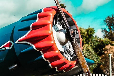 O'Reilly's & Lamington National Park Incl. Alpaca Farm + Vineyard - Accommodation Bookings 1