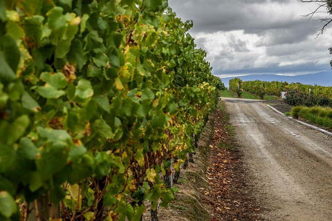 Yarra Valley Public Winery Tours - Accommodation Bookings 2