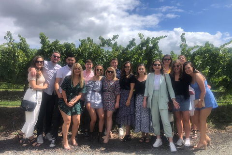 Yarra Valley Public Winery Tours - Accommodation Bookings 3