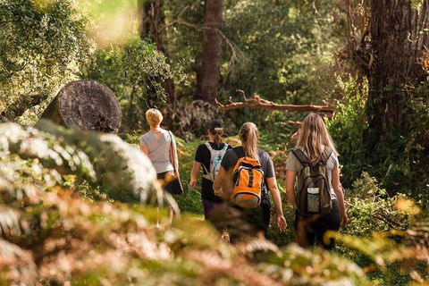 Cabaret Cave Yoga & Mindful Hike - Accommodation Bookings 2