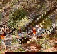 Half-Day Yanchep Ghost House Wilderness Guided Hike Tour - Accommodation Bookings